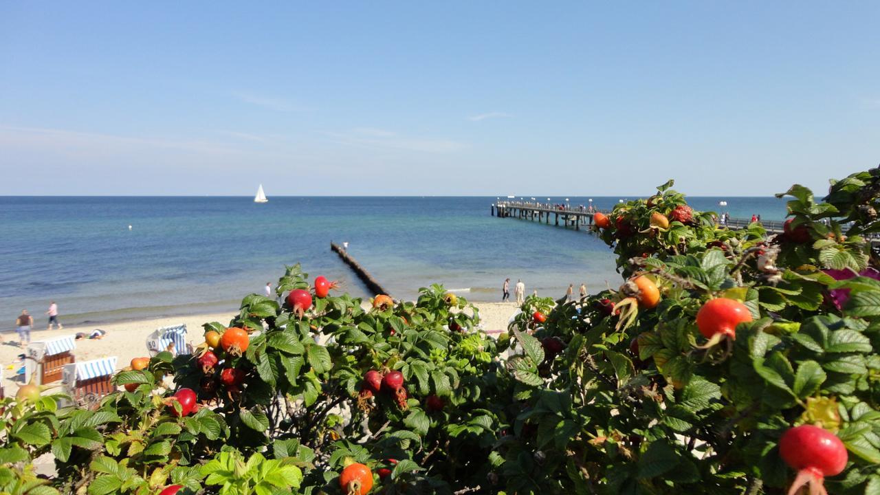 Edison Hotel Ostseebad Kühlungsborn
